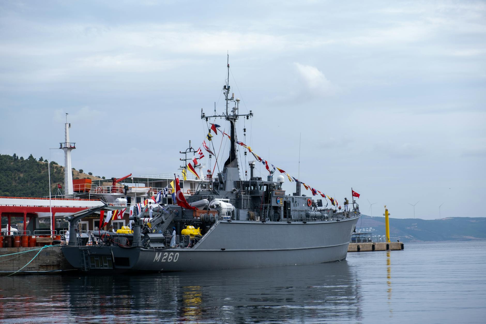 Houthi Threat to Bab el-Mandeb Strait Escalates, Prompting Red Sea Task Force Readiness